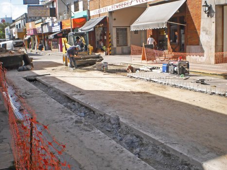 Constitución