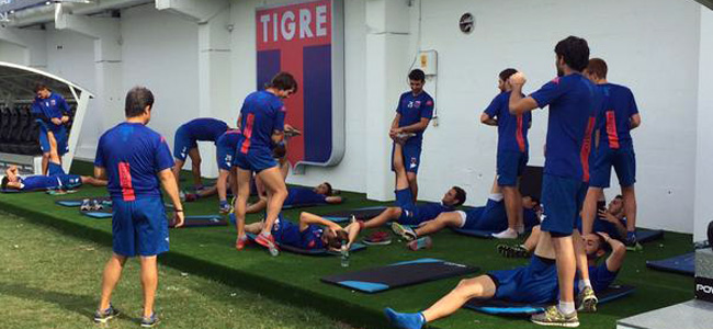 Entrenamiento de Tigre