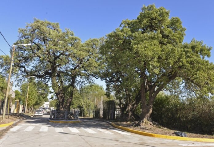 Calle Estrada
