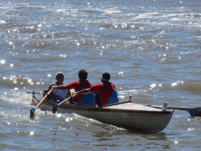 regata-21