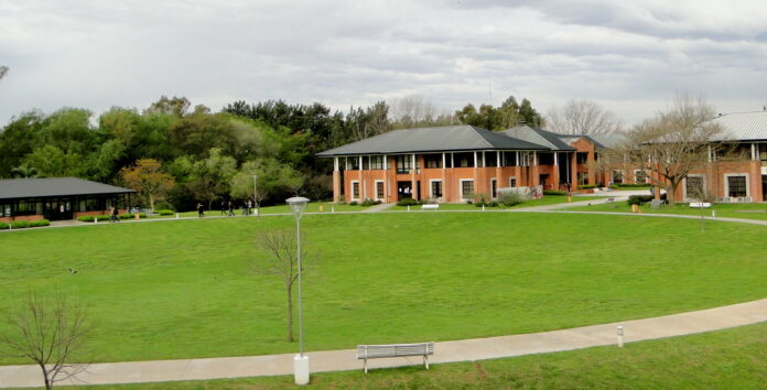 Universidad de San Andrés