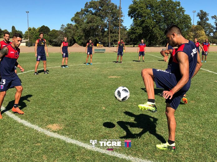 Tigre