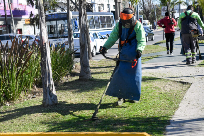 2 cuidado de espacios verdes san fernando
