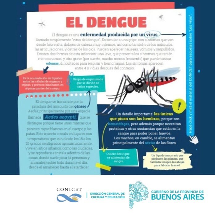 estudiantes-bonaerenses-cuentan-con-materiales-educativos-realizados-por-cientficos-de-conicet-1_50271907922_o