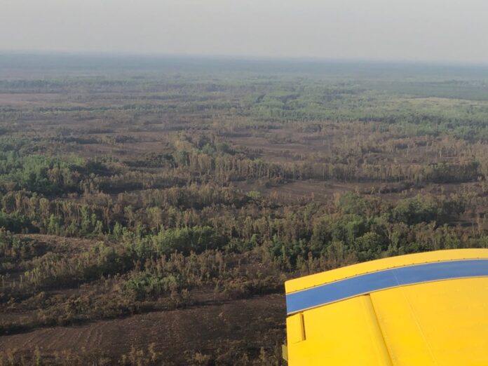 Delta tras incendio