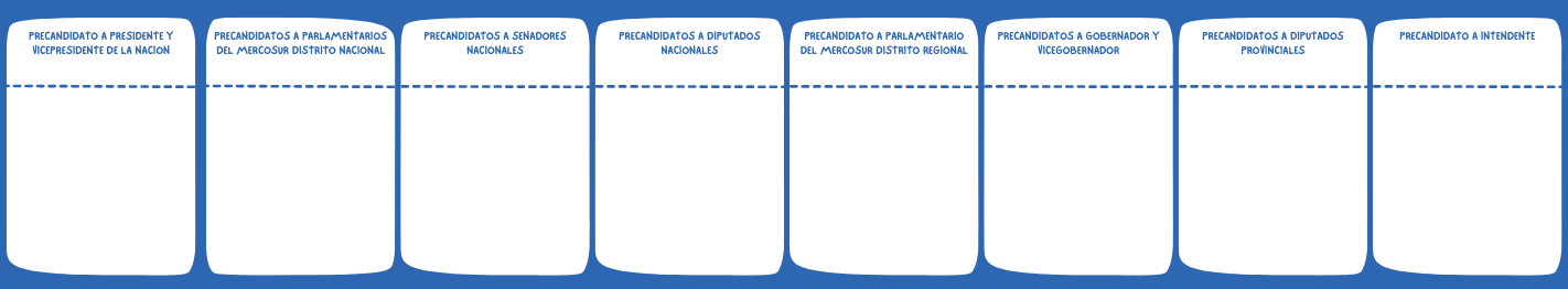 Modelo boleta PASO 2023