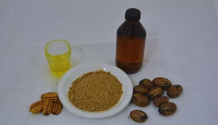 pecan