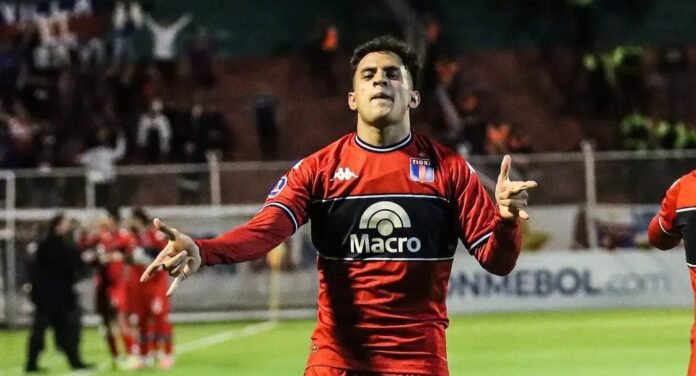 tigre