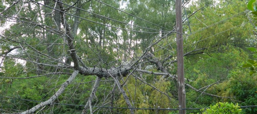 Nueve días sin luz en las islas del delta bonaerense