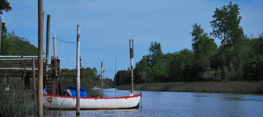 Muerte y misterio en el Delta