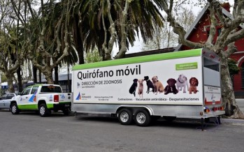 Dónde serán los operativos de Zoonosis esta semana