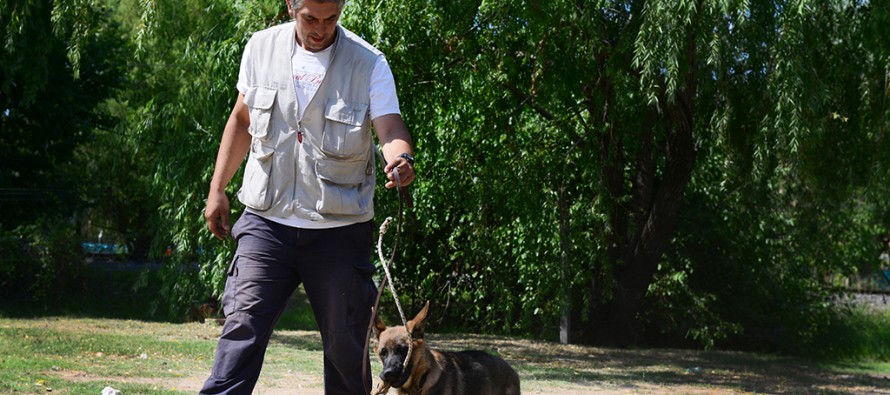 En febrero sigue el taller municipal de adiestramiento de perros en el Parque Náutico