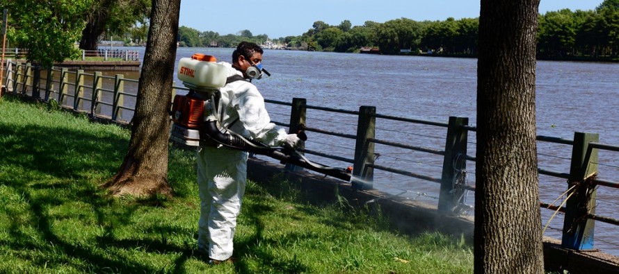 Fumigan los polideportivos para evitar la propagación del dengue