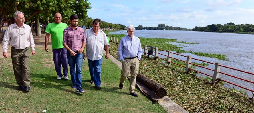 Operativo de limpieza en la Costanera frente al avance de camalotes por la crecida del río