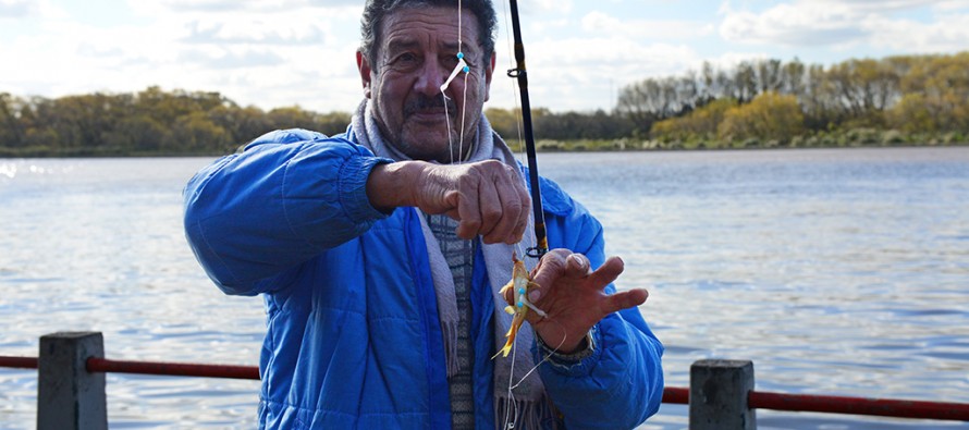 Pesca Variada En Costanera Zarate 41217 Youtube