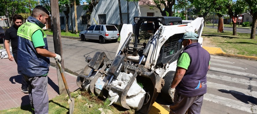 Operativo de limpieza y prevención del dengue en Virreyes