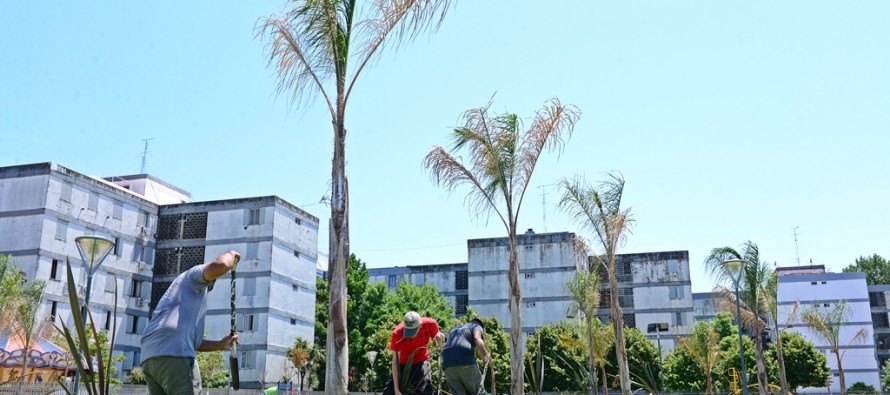 Trabajos de mejora en la plaza de Infico