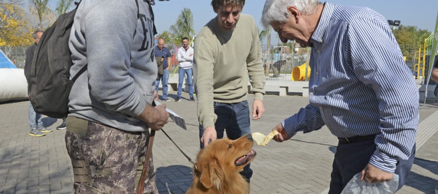 Se celebró el ‘Día del Animal’ en Infico con una actividad exclusiva para mascotas