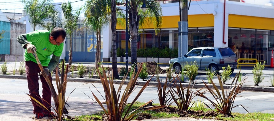 Se colocaron árboles y arbustos a lo largo de la Avenida Avellaneda