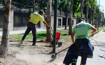 Nueva forestación en la obra de la calle Uruguay