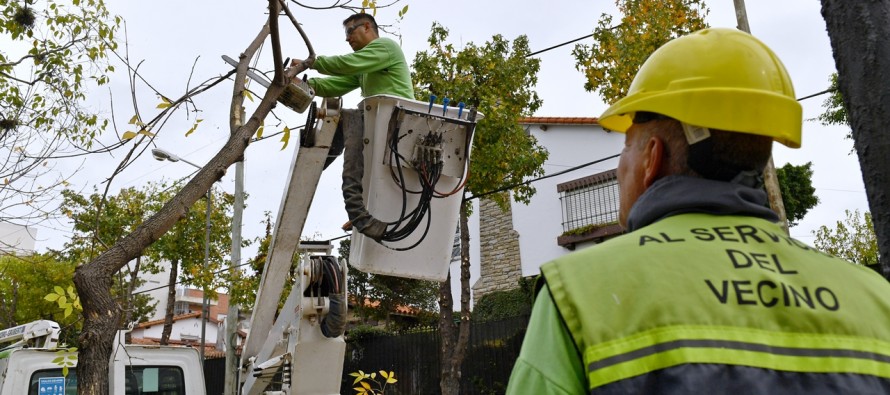 Comenzaron los trabajos de poda correctiva en nuestra ciudad