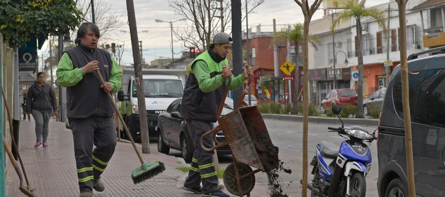 Avanza el plan de forestación en la avenida Avellaneda