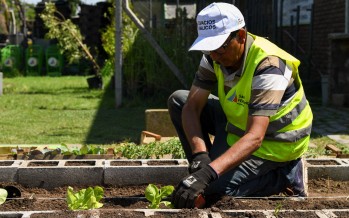 Huerta orgánica en la Secretaría de Servicios y Espacios Públicos de nuestra ciudad