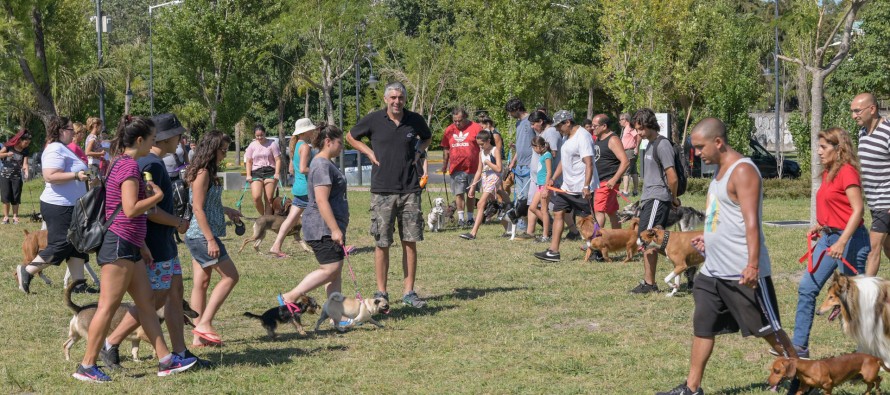 Nuevo taller de adiestramiento de perros en el Parque del Bicentenario