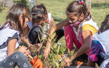 Día de la Tierra: ‘Eco Sanfer’ plantó árboles nativos junto a una escuela de Islas