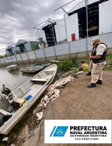 pesca ilegal