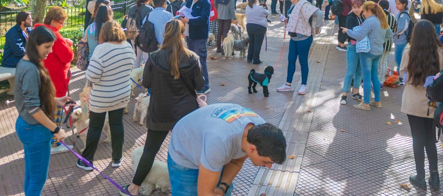 Día del Animal en Plaza Mitre: vacunación, castración, chapitas identificatorias, juegos y firmas