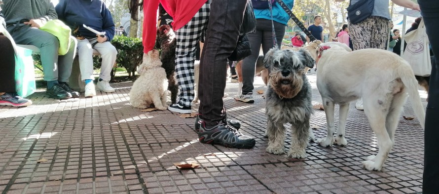 Dónde se realizarán los operativos de zoonosis esta semana