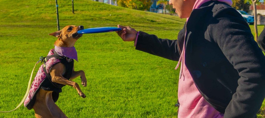 Diversas actividades por el Día del Animal en el Parque del Bicentenario