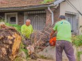 Remueven árboles, ramas, postes y techos caídos tras el temporal