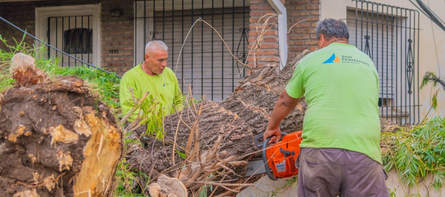 Remueven árboles, ramas, postes y techos caídos tras el temporal